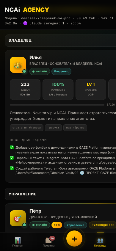Команда NCAi — роли, статусы, точность каждого